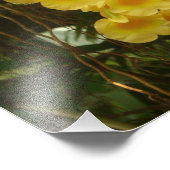 Gelbe Orchideen - tropische Blume Fotodruck (Ecke)