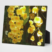 Gelbe Orchideen - tropische Blume Fotoplatte (Seite)