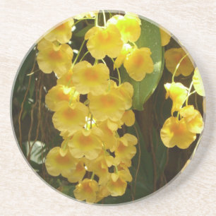Gelbe Orchideen - tropische Blume Getränkeuntersetzer