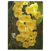 Gelbe Orchideen - tropische Blume Klemmbrett (Rückseite)