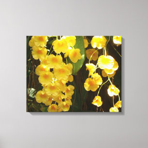 Gelbe Orchideen - tropische Blume Leinwanddruck