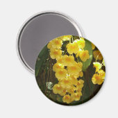 Gelbe Orchideen - tropische Blume Magnet (Vorderseite/Rückseite)