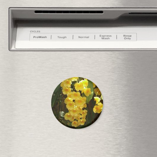 Gelbe Orchideen - tropische Blume Magnet (In Situ (Geschirrspüler))