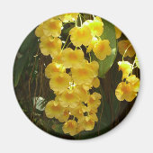 Gelbe Orchideen - tropische Blume Magnet (Vorne)
