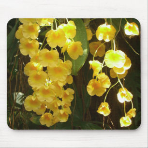 Gelbe Orchideen - tropische Blume Mousepad