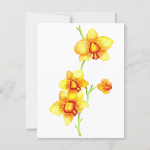 Gelbe Orchideen Wasserfarbe Postkarte