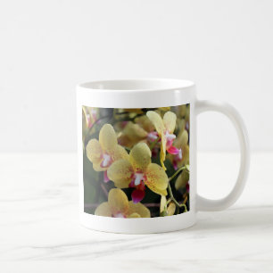 Gelbe Orchideenblüten Kaffeetasse
