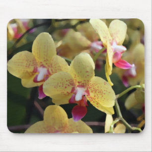 Gelbe Orchideenblüten Mousepad