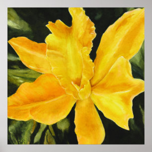 Gelbe Orchideenlackierung, grüner Hintergrund Poster