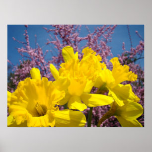 Gelbe Osterglocken-Blumenkunst-Drucke Natur Floral Poster