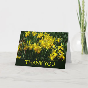 Gelbe Osterglocken I Fröhliche Frühlingsblumen Dankeskarte