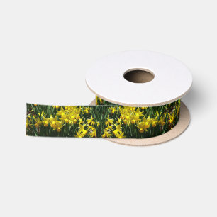 Gelbe Osterglocken I Fröhliche Frühlingsblumen Satinband