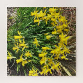 Gelbe Osterglocken Puzzle (Horizontal)