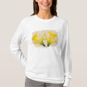 Gelbe Osterglocken T-Shirt
