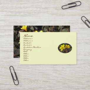 Gelbe Oxalis-Blume - Kleeblatt - Klee Visitenkarte