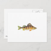 Gelbe Perche (ohne Titel) Postkarte (Vorne/Hinten)