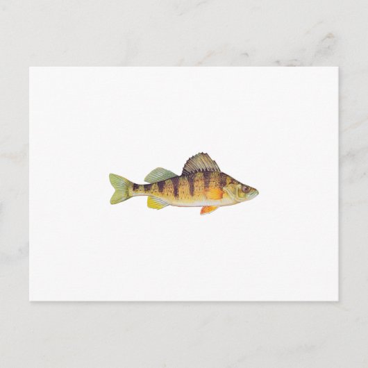 Gelbe Perche (ohne Titel) Postkarte (Vorderseite)