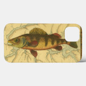 Gelbe Perle auf Karte Case-Mate iPhone Hülle (Rückseite (Horizontal))