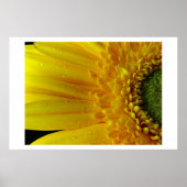 Gelbe Petalen Poster (Vorne)