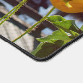 Gelbe Pfeffer im Hafen von Olympia Schreibtischunterlage (Ecke)