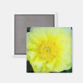 Gelbe Pfingstrose Magnet (Vorderseite/Rückseite)