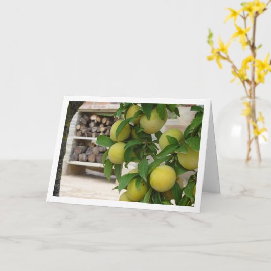 Gelbe Pflaume Rustikales Portrait Karte (Gelbe Blume)