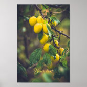 Gelbe Pflaumen nach Regen Poster (Vorne)