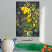 Gelbe Pflaumen nach Regen Poster