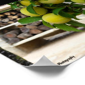 Gelbe Pflaumen Rustikales Holz Poster (Ecke)