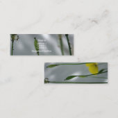 Gelbe Pflaumen schatten 10 Visitenkarten Mini Visitenkarte (Vorne/Hinten)