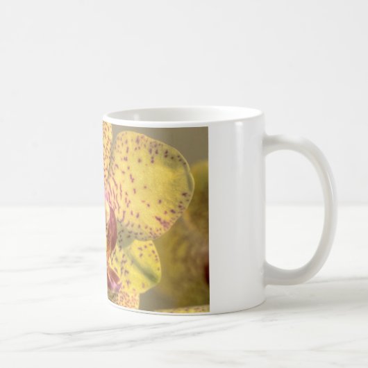 Gelbe Phalaenopsis Lila Punkte Kaffeetasse (Rechts)