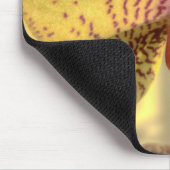 Gelbe Phalaenopsis Lila Punkte Mousepad (Ecke)