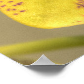 Gelbe Phalaenopsis Lila Punkte Poster (Ecke)