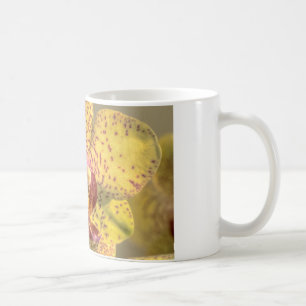 Gelbe Phalaenopsis mit lila Flecken Kaffeetasse