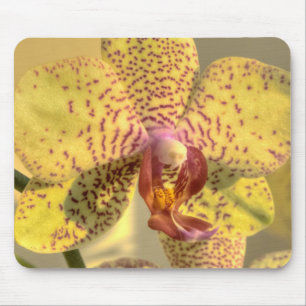 Gelbe Phalaenopsis mit lila Flecken Mousepad