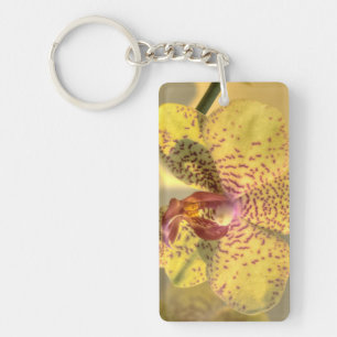 Gelbe Phalaenopsis mit lila Flecken Schlüsselanhänger