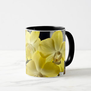 Gelbe Phalaenopsis Orchide Blume Tasse