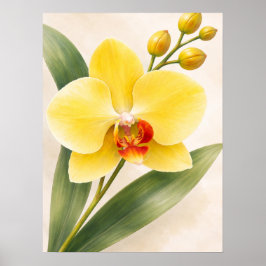 Gelbe Phalaenopsis-Orchideenblüte Botanisch Poster