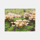 Gelbe Pilze im Herbstwald. Fleecedecke (Vorderseite (Horizontal))