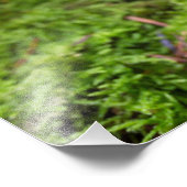 Gelbe Pilze im Herbstwald. Fotodruck (Ecke)