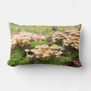 Gelbe Pilze im Herbstwald. Lendenkissen