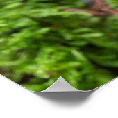 Gelbe Pilze im Herbstwald. Poster (Ecke)