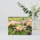 Gelbe Pilze im Herbstwald. Postkarte (Stehend Vorderseite)