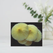 Gelbe Pilze Postkarte (Stehend Vorderseite)