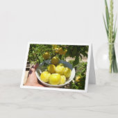 Gelbe Plättchen in Schüssel Karte (Vorderseite)