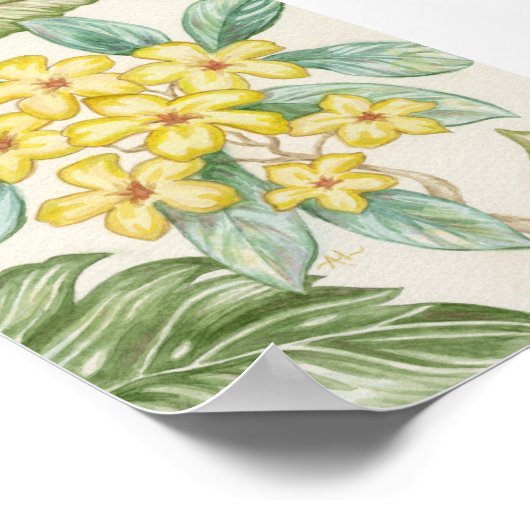Gelbe Plumeria Poster (Ecke)