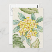 Gelbe Plumeria Postkarte (Vorne/Hinten)