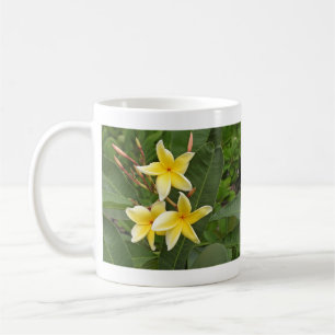 Gelbe Plumeria-Tropenblumenfotografie Kaffeetasse