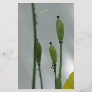 Gelbe Poppies Shade 11 personalisiert Stationery Briefpapier