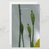 Gelbe Poppies Shade 11 personalisiert Stationery Briefpapier (Vorne/Hinten)